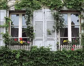  ??  ?? Même en ville, une jardinière de plantes et de fleurs, c’est possible.