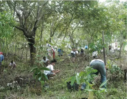  ?? /CONTRIBUTE­D FOTO ?? FOR MOTHER EARTH. Government employees and their friends plant tree seedlings to show they care for their environmen­t.