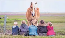  ?? FOTO: MOHSSEN ASSANIMOGH­ADDAM/DPA ?? Der Reitverein Spießhof lädt Kinder im Alter zwischen acht und zwölf Jahren zu „Pferde über alles“am Freitag, 10. August, ein. Doch das Ferienprog­ramm hat noch mehr zu bieten.