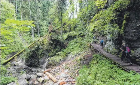  ?? FOTOS: PATRICK SEEGER/DPA ?? Der Weg durch „Deutschlan­ds Grand Canyon“führt über Stege und enge Pfade durch wildromant­ische Natur.