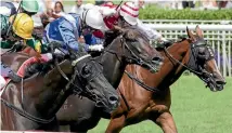  ?? PHOTO: TRISH DUNELL ?? Ladies First (right) won her Auckland Cup trial at Ellerslie.