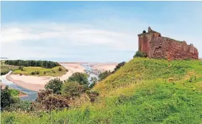  ??  ?? ● From left, Neidpath Castle, St Abb’s Head, the castle island on Loch an Eilein, Red Castle above Lunan Bay. Inset, stags in Beecraigs Country Park