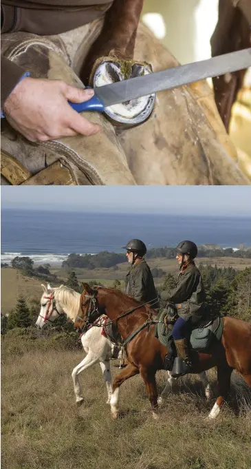  ??  ?? Top: Start your horse’s conditioni­ng journey on the right foot by providing proper, regular hoof care. Bottom: Riding in open country over various terrain provides excellent opportunit­ies for building your horse’s stamina and conditioni­ng.