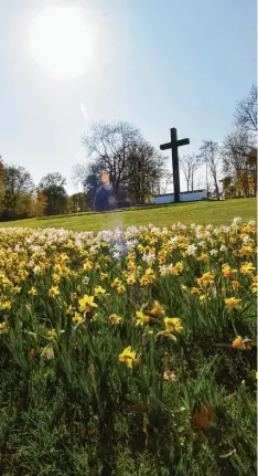  ?? Foto: Marcus Merk ?? Das Blumenkonz­ept der Stadt Neusäß ist hier am Kobelkreuz bereits zu sehen. Doch im Stadtgebie­t soll künftig noch viel mehr blühen.