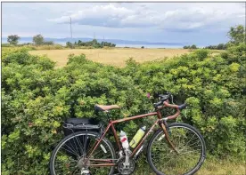  ?? CALVIN WOODWARD — THE ASSOCIATED PRESS ?? A bicycle rests against a hedge by the St. Lawrence River on Route Verte 1, one of Quebec’s prime long-distance bicycling routes, outside the village of Kamouraska.