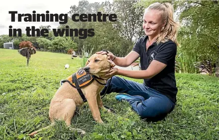  ?? DAVID UNWIN/STUFF ?? K9 Search Medical Detection Kelsi Hoggard, with puppy Scarlett (and pictured below). The charity is building a training and breeding centre at Cheltenham.