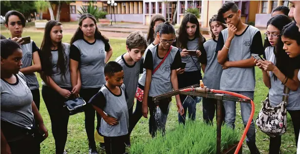  ?? Fotos: Gustavo Carneiro ?? Pelo mini simulador de chuva os alunos puderam perceber os efeitos da queda da água em solo de plantio com palhada e sem palhada