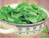  ?? PHOTO: ISTOCK ?? Eating a good amount of spinach cuts the risk of lung cancer and heart disease