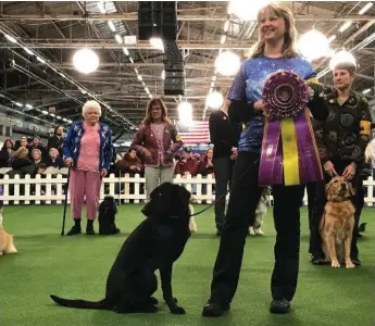  ?? KARIN BRULLIARD/WASHINGTON POST ?? Linda Brennan’s laser-focused black Labrador, Heart, came in first place at the Westminste­r Masters Obedience Championsh­ip. Brennan has been competing for three decades, but she says Heart is special.