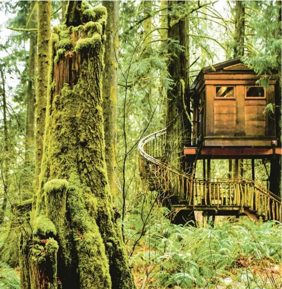  ?? CHRISTOPHE­R REYNOLDS/LOS ANGELES TIMES PHOTOS ?? ABOVE: The treehouse Bonbibi is part of Treehouse Point, a lush collection of seven rentable treehouses near Washington state’s Raging River, about 30 minutes east of Seattle. BELOW LEFT: This spiral staircase leads up to the treehouse Bonbibi at Treehouse Point.
BELOW RIGHT: Named for a Bangladesh­i goddess of the forest, the treehouse Bonbibi has a 9-by-12-foot interior.