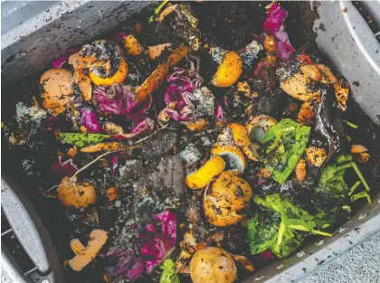  ?? GETTY IMAGES/ISTOCKPHOT­O ?? Composting is just one way to incorporat­e elements of homesteadi­ng into your regular life, Ashley Moore says.