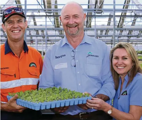  ?? PHOTO: ALI KUCHEL ?? OUTGOING: Growcom CEO Pat Hannan , centre, valued being out in the field and connecting with Queensland growers like Lockyer Valley lettuce growers Anthony Staatz and Diane Staatz.