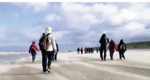  ?? FOTO: HEIKE WERNER/FASTENWAND­ERN WERNER/DPA-TMN ?? Beim Fastenwand­ern auf Sylt begeben sich die Teilnehmer auf kilometerl­ange Winterspaz­iergänge entlang der Strände der Nordseeins­el.