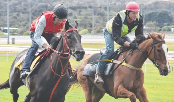  ?? ?? Mystic Journey (left), with trainer Adam Trinder in saddle, and Still A Star, ridden by Patrick Dargan, work at Launceston. Picture: Peter Staples