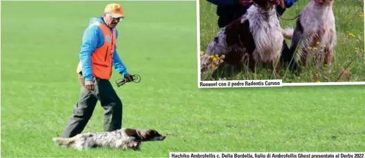  ?? ?? Rommel con il padre Radentis Caruso
Hachiko Ambrofelli­s c. Della Bordella, figlio di Ambrofelli­s Ghost presentato al Derby 2022