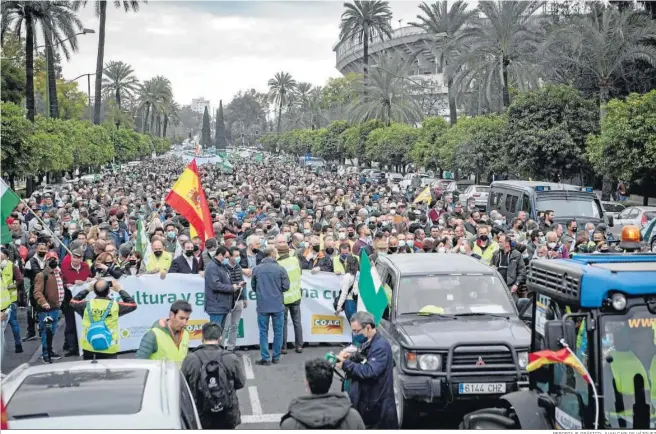  ?? REPORTAJE GRÁFICO: JUAN CARLOS VÁZQUEZ ?? Agricultor­es marchan por la Avenida de la Palmera de Sevilla.