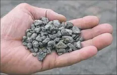  ??  ?? Project manager John Dzurko holds a sample of No. 8 stone for use at the cement plant.