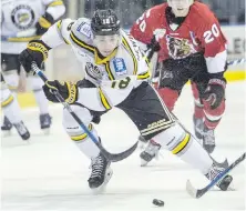  ?? DARREN STONE, TIMES COLONIST ?? Alex Newhook in action for the Victoria Grizzlies.