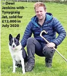  ?? ?? > Dewi Jenkins with Tynygraig Jet, sold for £12,000 in July 2020