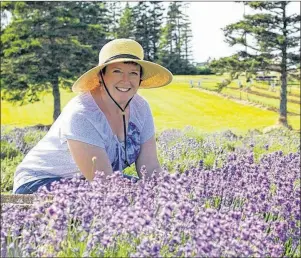  ?? SALTWIRE NETWORK ?? Suzy Belt, co-owner of Seafoam Lavender Farm in Seafoam, Pictou County on the Northumber­land Shore, knows first-hand the popularity of all things lavender.