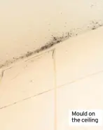  ??  ?? Mould on the ceiling