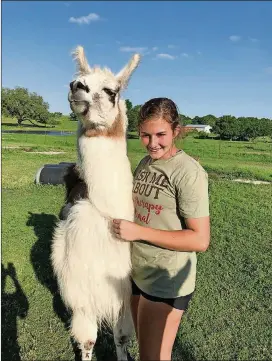  ?? JENNIFER KINGSON VIA THE NEW YORK TIMES ?? Zoe Rutledge stands with a llama in her backyard in Stockdale, Texas.