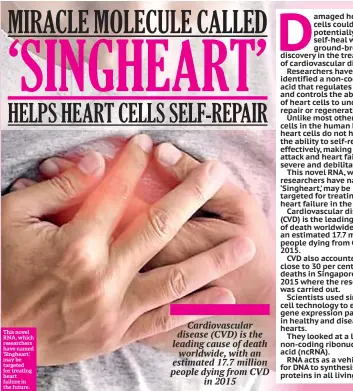  ??  ?? This novel RNA, which researcher­s have named ‘Singheart,’ may be targeted for treating heart failure in the future.