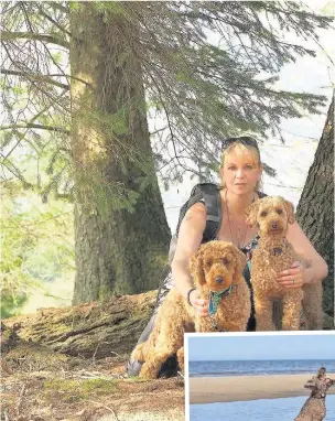  ?? HoneyB and owner Gill Woodcock are hoping to win a £1,000 holiday after he was named Wet Dog Wonder in a competitio­n ??