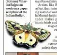  ??  ?? (Above) An illustrati­on of a Bhesa Indica branch by Nirupa Rao. (Below) A papercut of a common owlet moth by Nibha Sikander. (Bottom) Niharika Rajput at work on a paper sculpture of the Indian Roller.