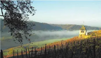  ?? FOTO: TOURISMUSV­ERBAND SACHSEN ?? Herbststim­mung am Schwalbenn­est auf der Bosel.