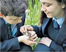  ??  ?? Handle with care: Matthew Kilford, 12, and Shannon Marsh-lloyd, 13, with a toad
