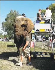  ?? Hearst Connecticu­t Media file photo ?? An elephant at the 2015 Goshen Fair.