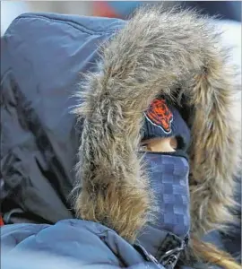  ?? Jonathan Daniel Getty Images ?? A FAN bundles up for the Bears-Packers game at Soldier Field in Chicago. Snow and frigid temperatur­es led to runway skids and car crashes in parts of the U.S.