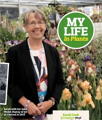  ??  ?? Sarah with her Gold Medal display of iris at Chelsea in 2015