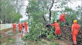  ?? ANI ?? NDRF personnel clear a fallen tree from a road as they carry out restoratio­n work in the aftermath of Cyclone Tauktae in Gujarat on Tuesday.