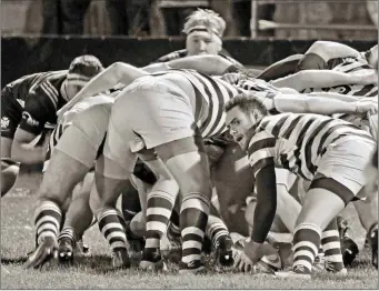  ??  ?? Andy roberts looks to feed from the scrum. Photo: Gerry Weldon