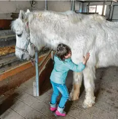  ??  ?? Stute Fancy und Leonie, 5 Jahre, sind beste Freunde und verbringen gerne Zeit zu‰ sammen, wie das Foto von Bettina Eckert aus Alerheim (Kreis Donau‰ries) beweist.