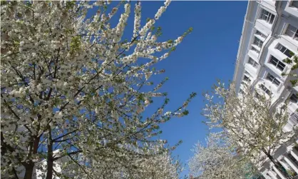  ?? Photograph: Michael Kemp/Alamy ?? ‘What happens to time and space when these nothings happen?’