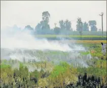  ?? BIPLOV BHUYAN/HT PHOTO ?? The late onset and withdrawal of monsoon has left farmers with little time to complete the sowing of winter crops.