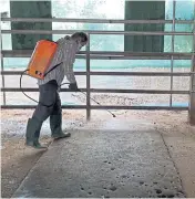  ?? KATESUDA METEEVIWAT ?? A worker sprays wood vinegar in a private stable in Chai Nat to protect horses from insects.