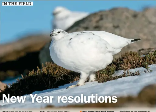  ?? ?? Restricted to the highlands of Scotland in the UK, Ptarmigan is difficult to catch up with; set yourself a challenge to see one this year.