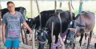 ?? HT PHOTO ?? Rajendra Patel, 50, the sole breadwinne­r in his family, got two cows from his fatherinla­w after the factory where he worked shut down. In 18 months, his cattle count went up to seven, with earnings now at ₹25,000 a month.