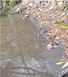  ?? FOTO: HARALD KUSSMAUL ?? Der Schlamm ist hier – bei Aixheim-Neuhaus – deutlich zu sehen.