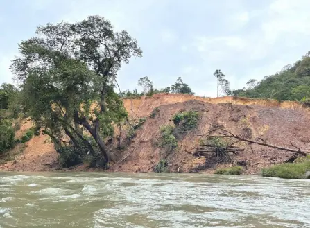  ?? ?? Unsustaina­ble land clearing for road building along Katibas River may exacerbate the impact of natural disasters on humans, says WWF-Malaysia.