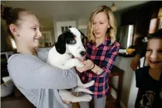  ?? STEVEN SENNE/THE ASSOCIATED PRESS ?? Morgan Fredette, 13, left, holds the family dog Roscoe as her mother Kate, centre right, and brother Lucas, 11, right, play with the dog at their home in Waltham, Mass. The family found the dog through the online platform How I Met My Dog, that is...