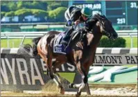  ?? PHOTO SUSIE RAISHER/NYRA FILE ?? Whitney favorite Diversify goes wire-to-wire to claim the Grade 2, $700,000 Suburban at Belmont Park.