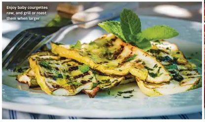  ??  ?? Enjoy baby courgettes raw, and grill or roast them when larger