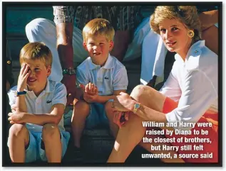  ??  ?? William and Harry were raised by Diana to be the closest of brothers,
but Harry still felt unwanted, a source said