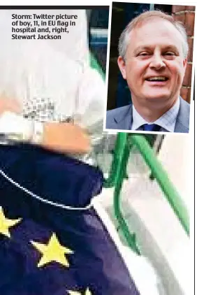  ??  ?? Storm: Twitter picture of boy, 11, in EU flag in hospital and, right, Stewart Jackson