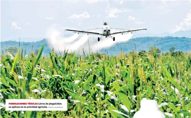  ?? RAFAEL SAGÁRNAGA ?? FUMIGACION­ES TóXICAS Litros de plaguicida­s se aplican en la actividad agrícola.